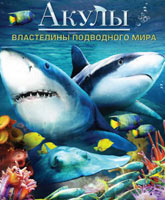 Смотреть Онлайн Акулы 3D: Властелины подводного мира / Sharks 3D: Kings of the Ocean [2013]